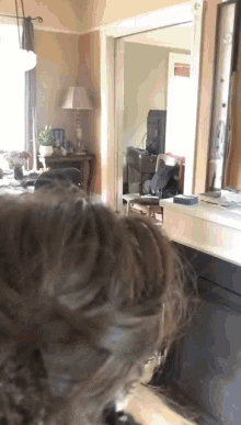 Cat Wig GIF - Cat Wig GIFs