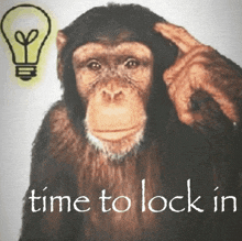a picture of a chimpanzee with the words time to lock in