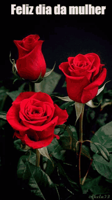 Rosas Feliz Dia Da Mulher GIF - Rose GIFs