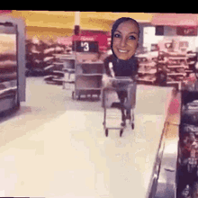 eibbob bobbie shopping cart fail