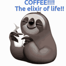 Sloth Coffee GIF - Sloth Coffee Coffee The Elixir Of L Ife GIFs