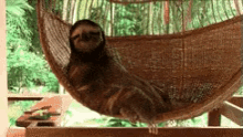 When All Of My April Fools Jokes Worked GIF - Sloth When My Jokes Work April Fool Jokes GIFs