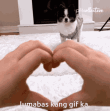 Puppy Love Puppy GIF - Puppy Love Puppy Love GIFs