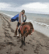a woman riding a horse on a beach with the ocean in the background
