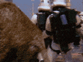 a group of storm trooper soldiers are standing next to each other .