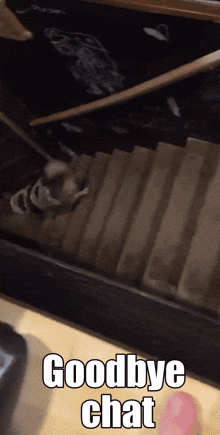 a picture of a cat walking down stairs with the caption " goodbye chat "