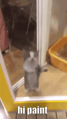 Paint Cat GIF - Paint Cat Jump GIFs