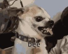 Beecore GIF - Beecore GIFs