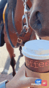 Coffee Coffee Cup GIF - Coffee Coffee Cup Horse GIFs