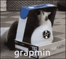 Grapmin Jumin GIF - Grapmin Jumin Grape GIFs