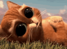 Huge Eyes GIF - Puppy Eyes Cat Puss In Boots GIFs