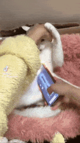 a person is holding a cell phone over a stuffed animal on a bed .