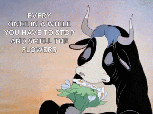 Stop And Smell Cartoon GIF - Stop And Smell Cartoon Cow - Discover & Share  GIFs