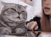 a woman is talking to a cat sitting on a table next to a tablet .