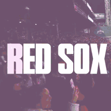 Red Sox Win Boston Red Sox GIF
