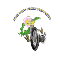 return of the dream canteen album red hot chili peppers flower on motorcycle rhcp rhcp band