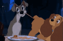 Lady Lady And The Tramp GIF - Lady Lady And The Tramp Parody GIFs