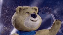 Olympics Bear GIF - Olympics Bear GIFs