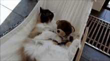 Cuddle Buddies GIF - Cute Cuddle Cat GIFs