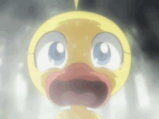 Mr. Ducky | Anime City! Amino-demhanvico.com.vn