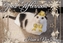 Sudoku Cat GIF - Sudoku Cat Meow GIFs