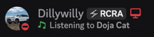 a dilly willy rcra listening to doja cat