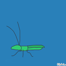 Beetle Flying GIF - Beetle Flying GIFs