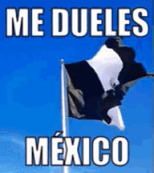 Bandera De México Negra Ondeando GIF