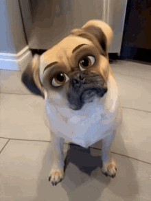 Pet Lover GIF - Pet Lover Puppy GIFs