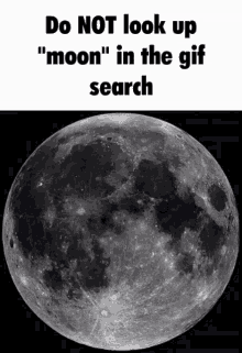 Moon Do Not GIF - Moon Do Not Searching Gif GIFs