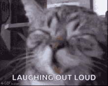 Lol Laughing Out Loud GIF - Lol Laughing Out Loud Laugh GIFs