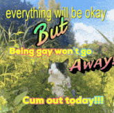 a picture of a cat in a field with the words " everything will be okay but being gay won 't go away "