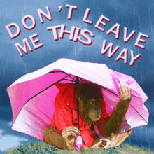 Don'T Leave Me This Way Meme Cute Baby Monkey Meme GIF - Don'T Leave Me This Way Meme Cute Baby Monkey Meme Atra Bilis GIFs