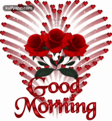 good morning goodmorning rose warm morning kalai vanakkam