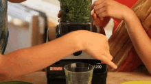 Making Cilantro And Mint Chutney GIF - Food Dinner Condiment GIFs