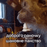 a cat is drinking from a bottle with a caption in russian