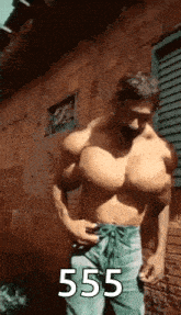 a shirtless man with huge muscles is standing in front of a brick wall .