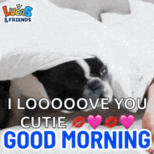 a black and white dog is laying under a blanket and says good morning .