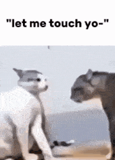 Let Me Touch You GIF