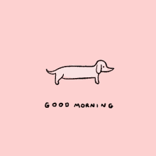 Yoga Dog Morning GIF
