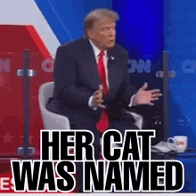 a man in a suit and tie is sitting in front of a screen that says her cat was named ..