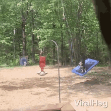 Playing In The Swing Viralhog GIF - Playing In The Swing Viralhog Swinging GIFs