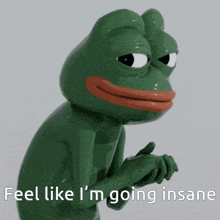 a green frog with the words feel like i 'm going insane on the bottom