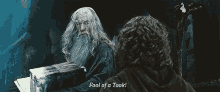Lord Of The Rings Fool GIF