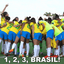 1 2 3 Brasil Cbf GIF - 1 2 3 Brasil Cbf Confederação Brasileira De Futebol GIFs