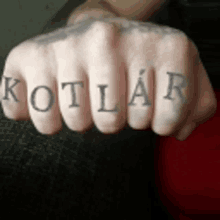 Kotlar Kotlar Security GIF - Kotlar Kotlar Security Bejr GIFs
