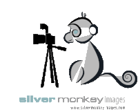 a silver monkey images logo with a monkey and a camera on a tripod