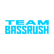 team bassrush edm music festival project z insomniac
