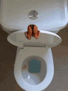 Dive Toilet GIF - Dive Toilet GIFs