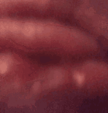 Lips Pussylips GIF